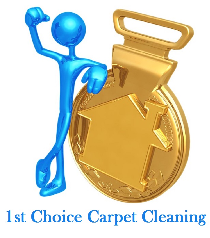 1st Choice Carpet Cleaning logo