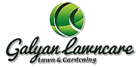 Avatar for Galyan Lawncare Inc.
