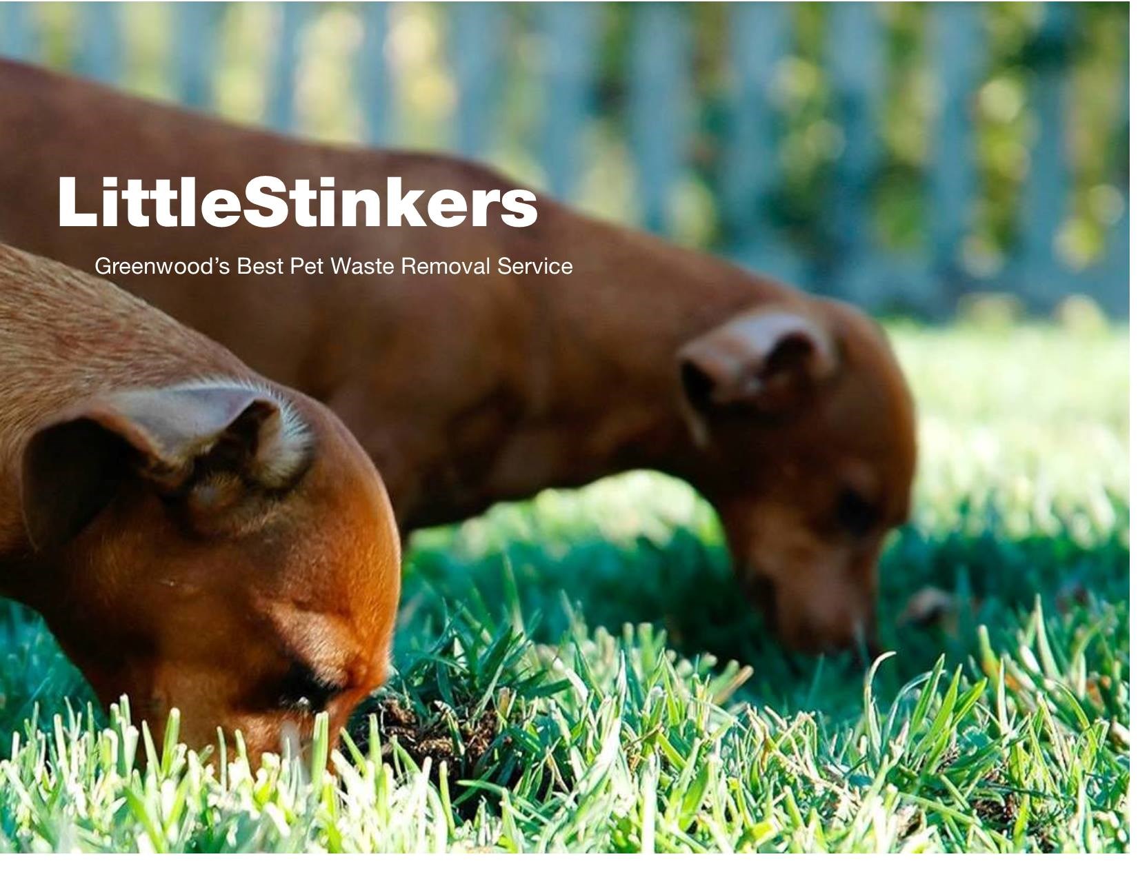 LittleStinkers-Pet Waste Removal logo