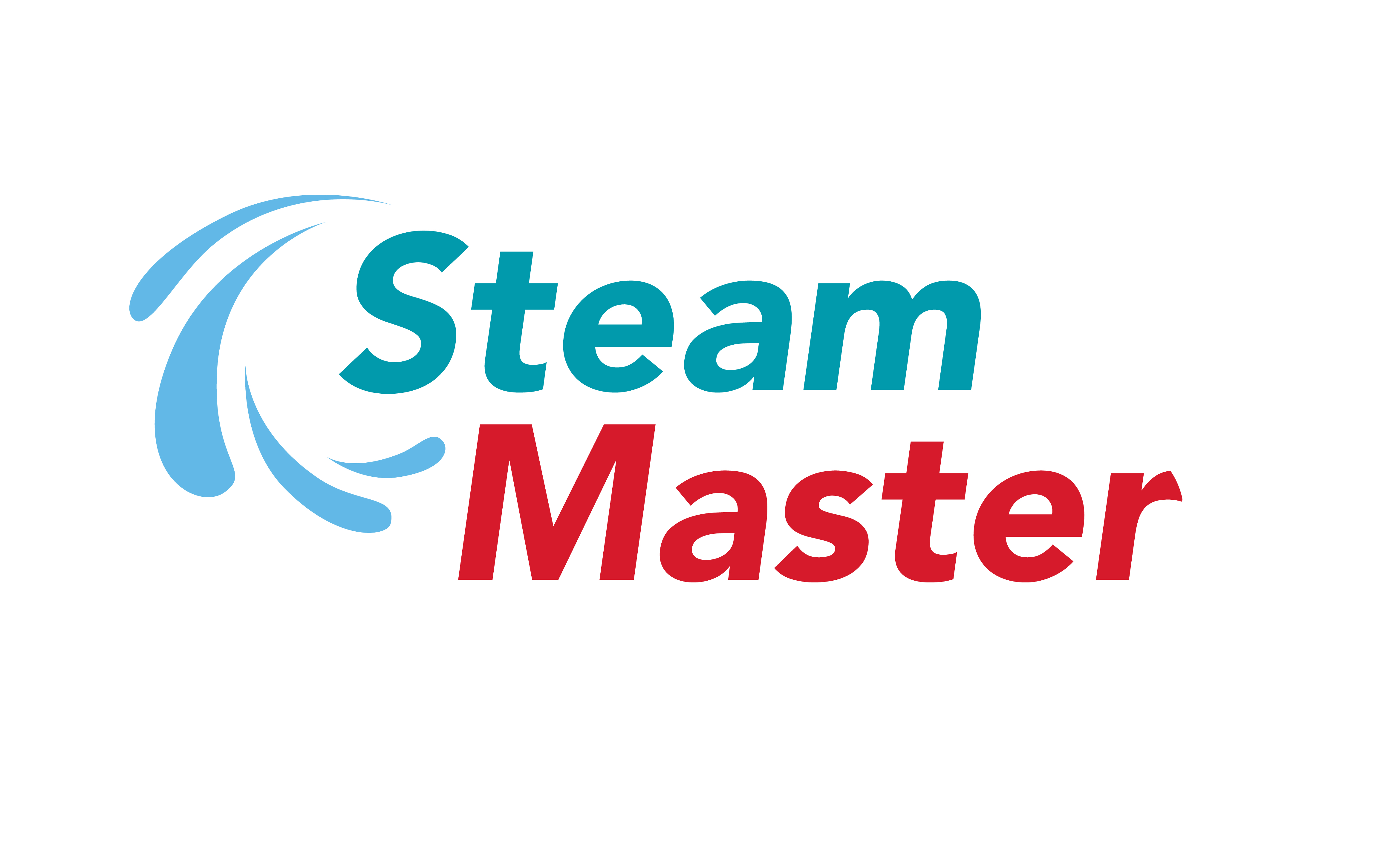 Logo for Steam Master LLC