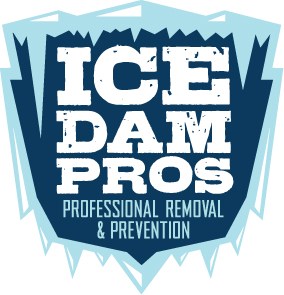 Avatar for Ice Dam Pros