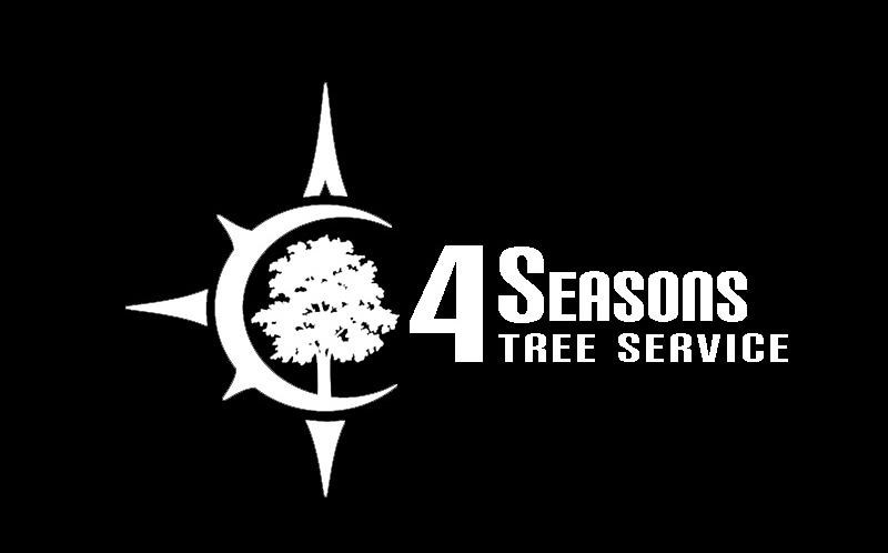 Logo for 4 SEASONS TREE SERVICE