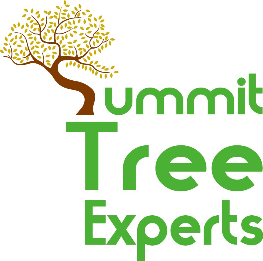 Summit Tree Experts logo