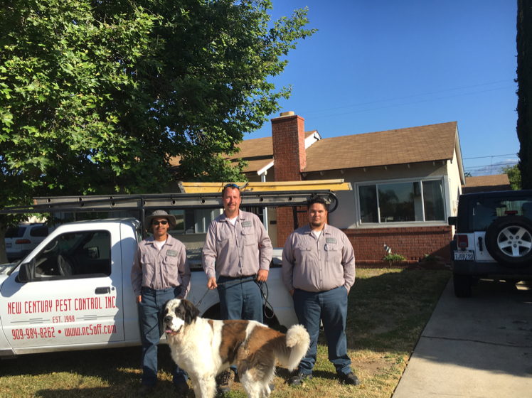 Logo for NEW CENTURY PEST CONTROL