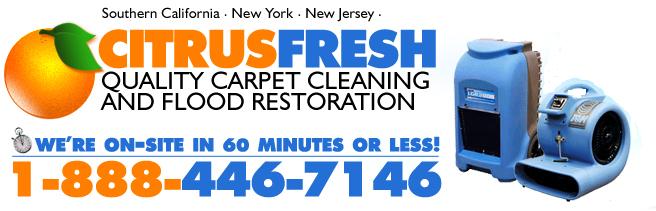 Logo for CITRUS FRESH