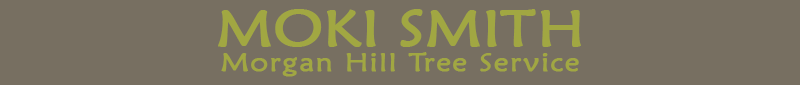 MOKI SMITH - Morgan Hill Tree Service logo