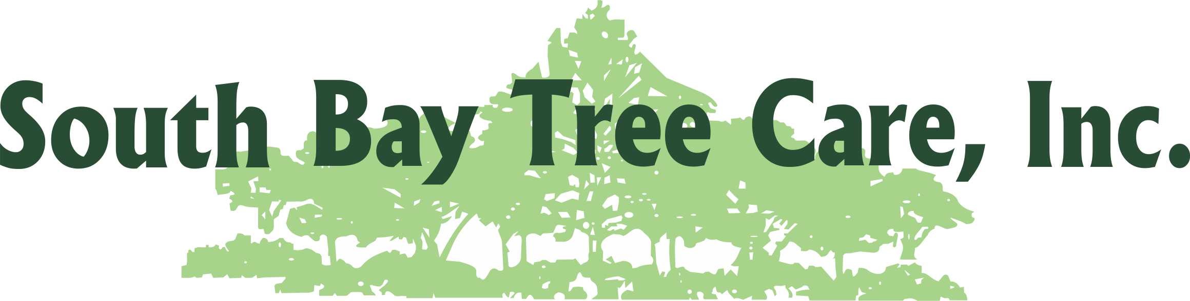 Avatar for SOUTH BAY TREE CARE INC