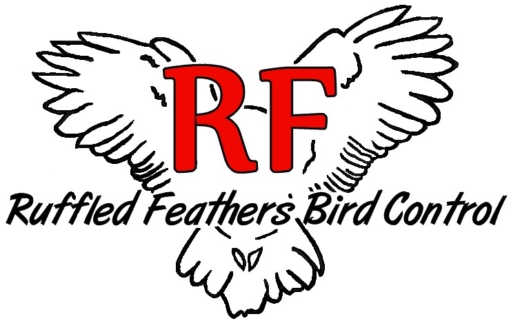 Ruffled Feathers Bird Control logo