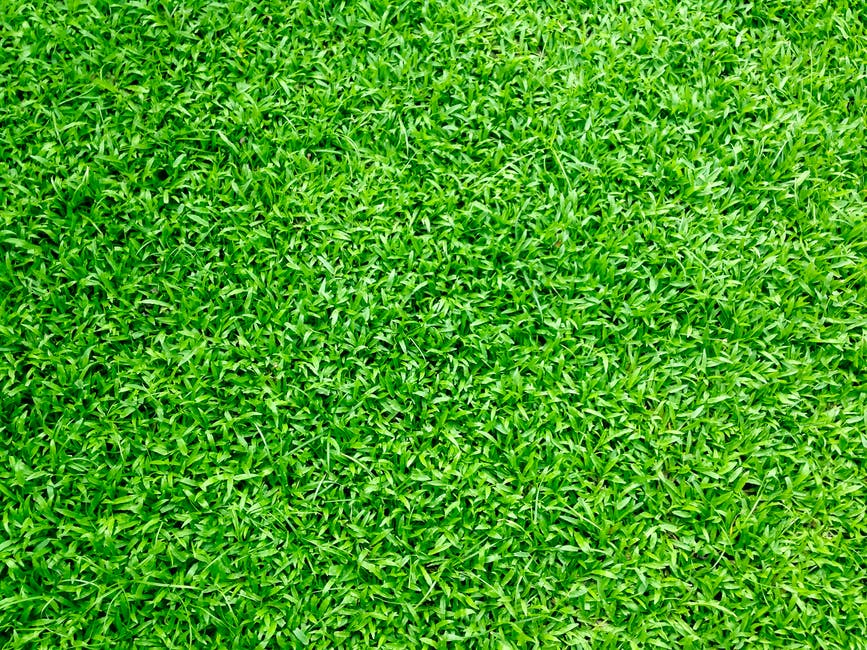 Avatar for SD Artificial Greens