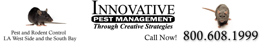 INNOVATIVE PEST MANAGEMENT logo