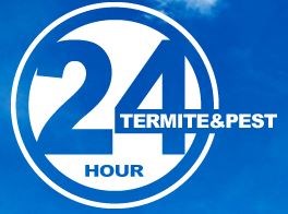 24 Hour Termite logo