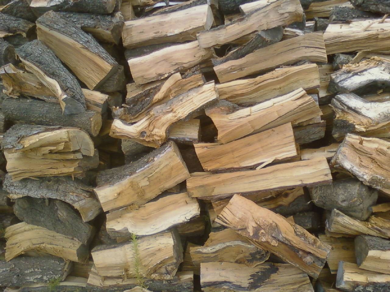 Steve Sims Almond Firewood logo
