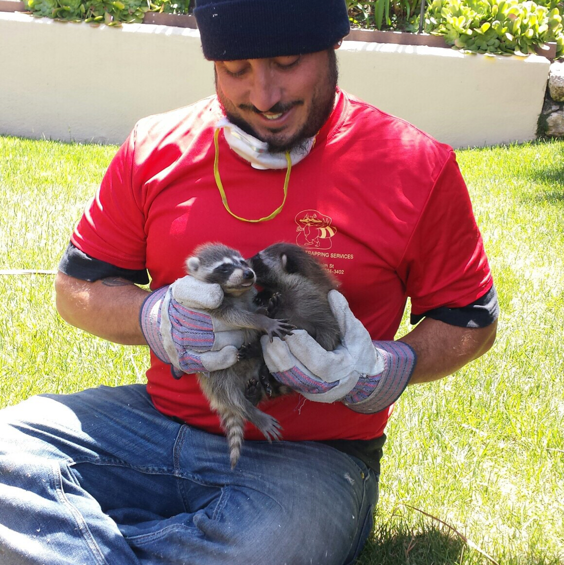 Avatar for ANIMAL BOY TRAPPING SERVICES, LLC