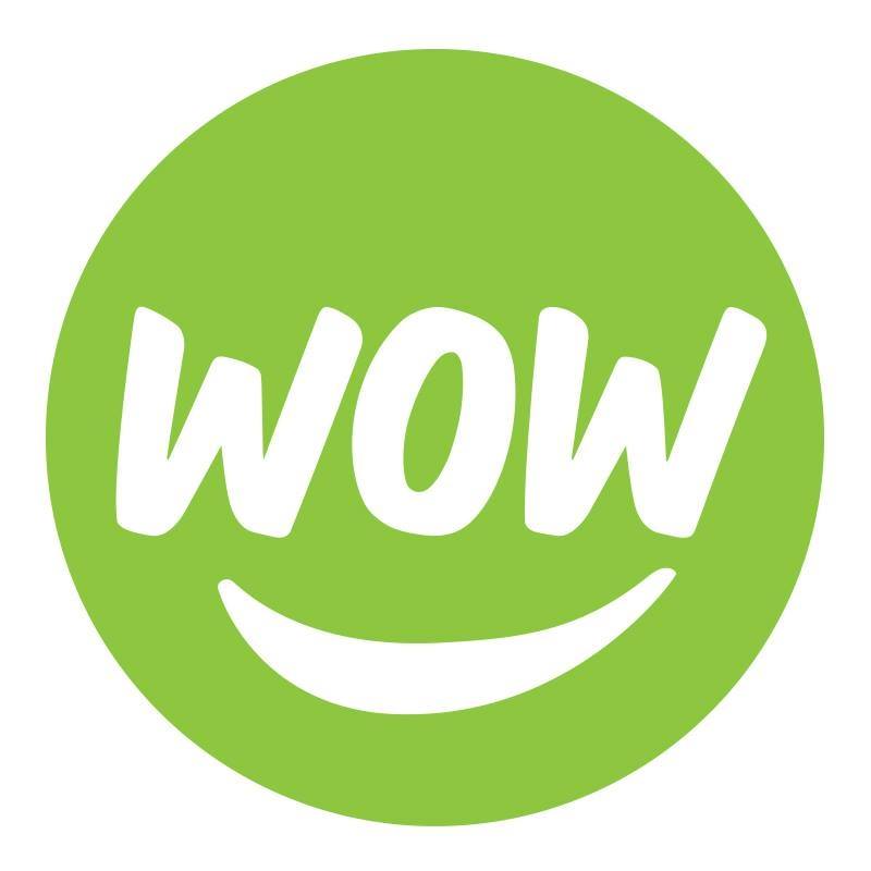 Logo for WOW 1 DAY PAINTING