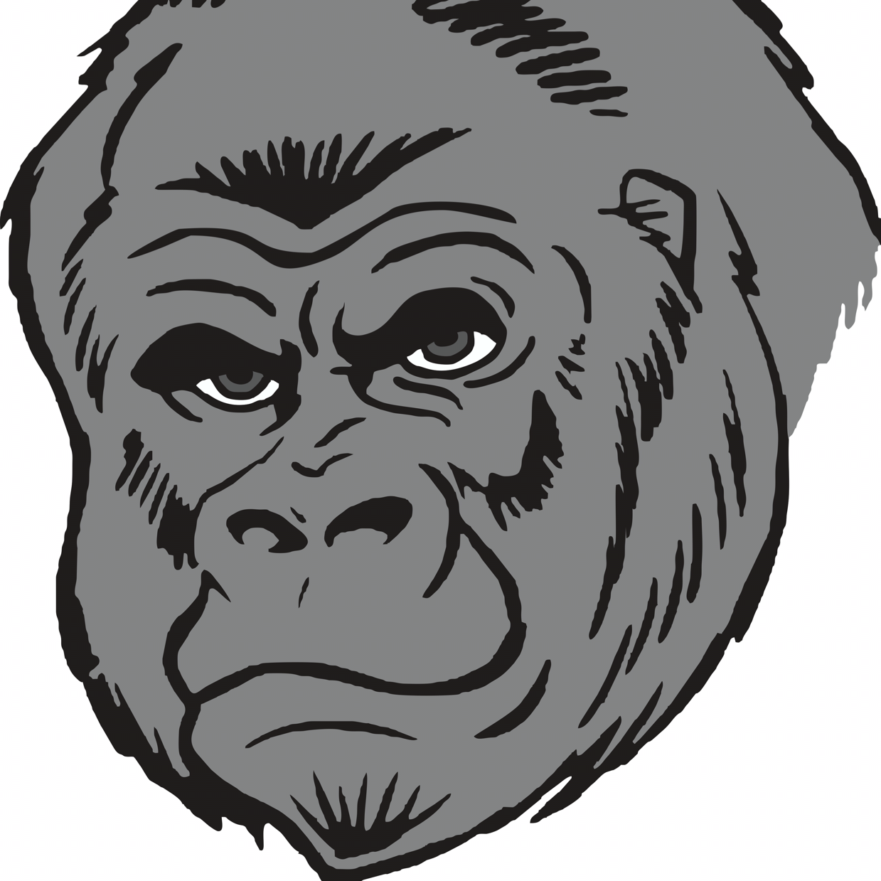 Avatar for Gorilla Corp