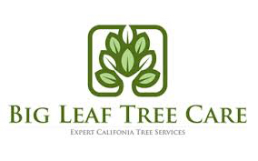 Avatar for Big Leaf Tree Care