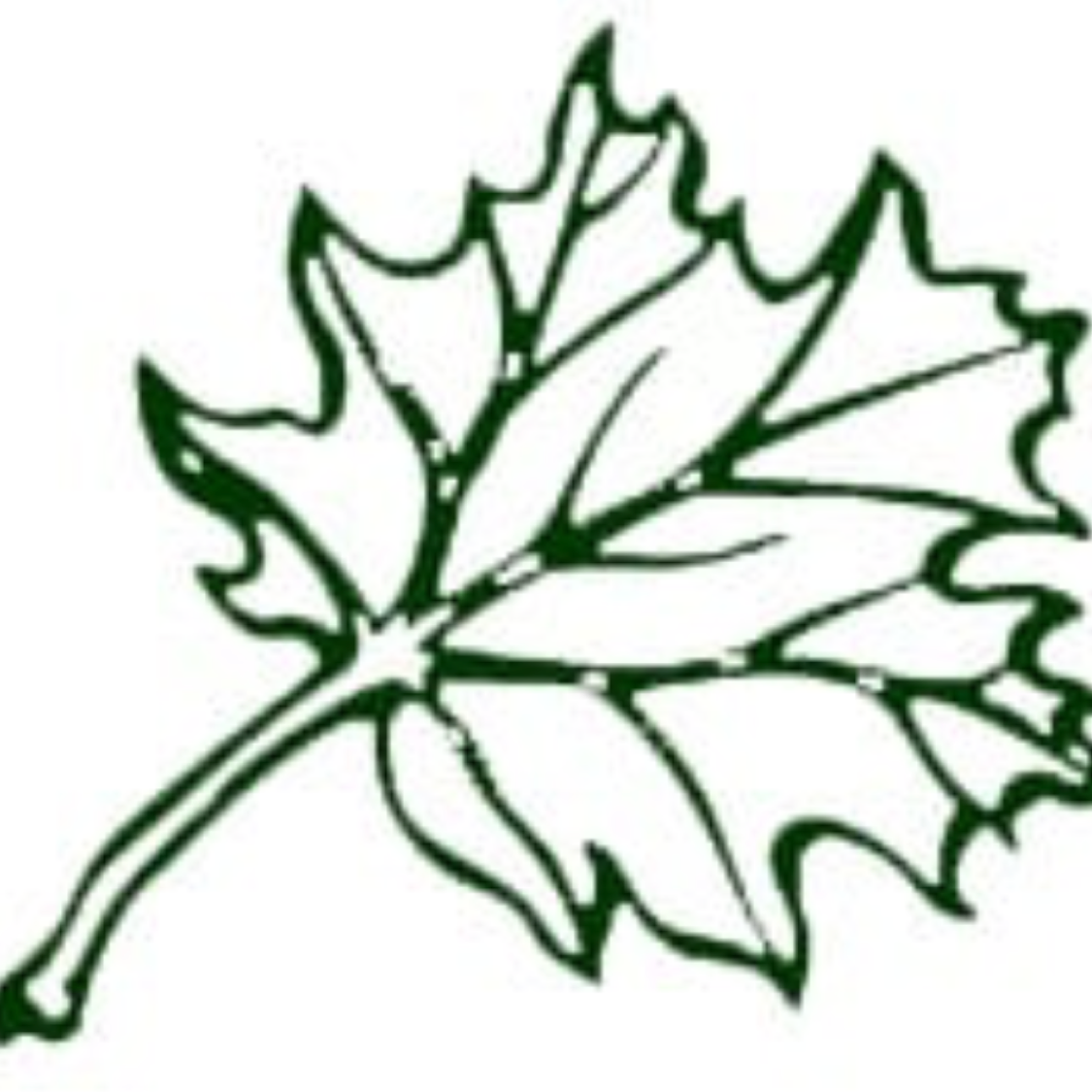 Coastal Arbor Tree Service logo