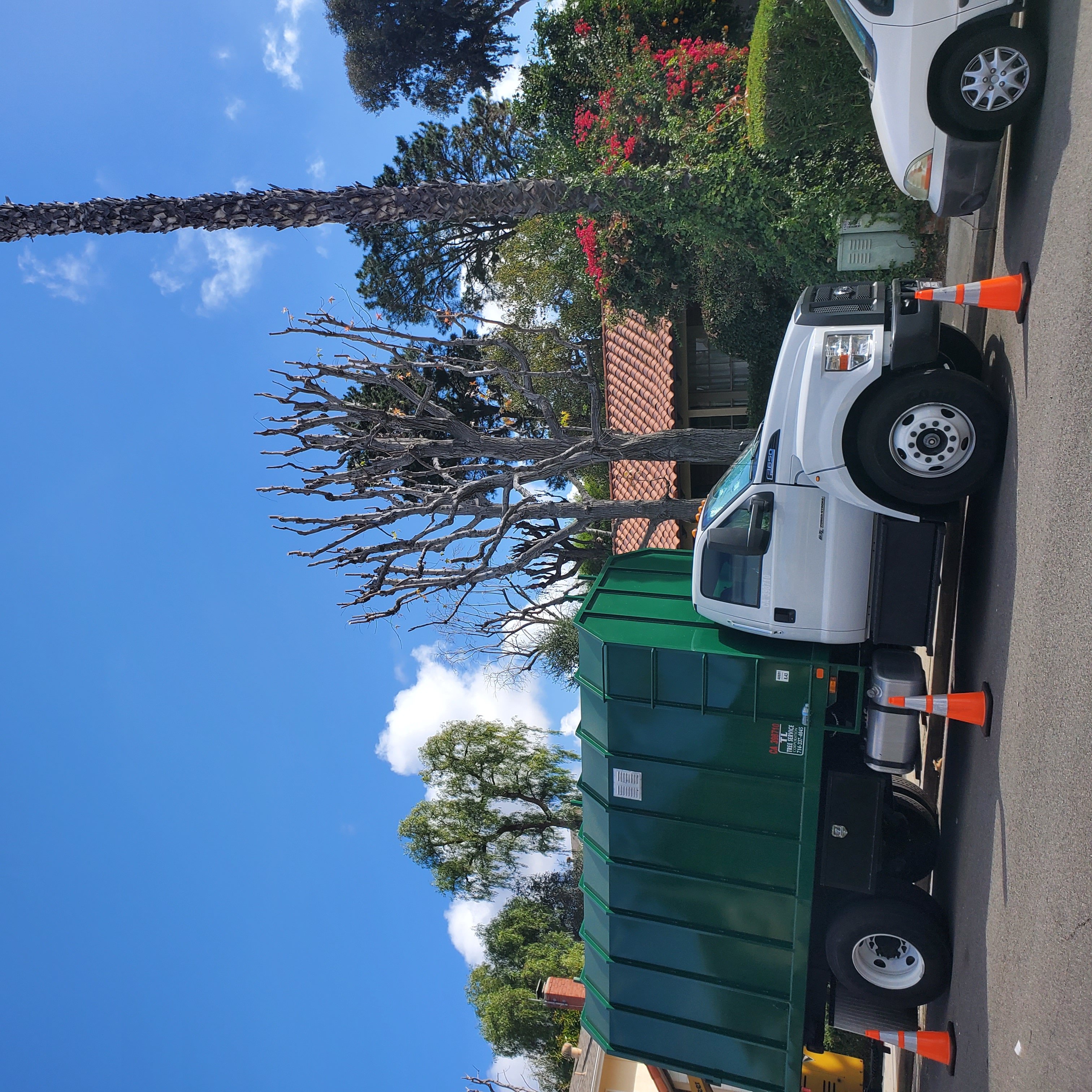 Avatar for Lucero Tree Service