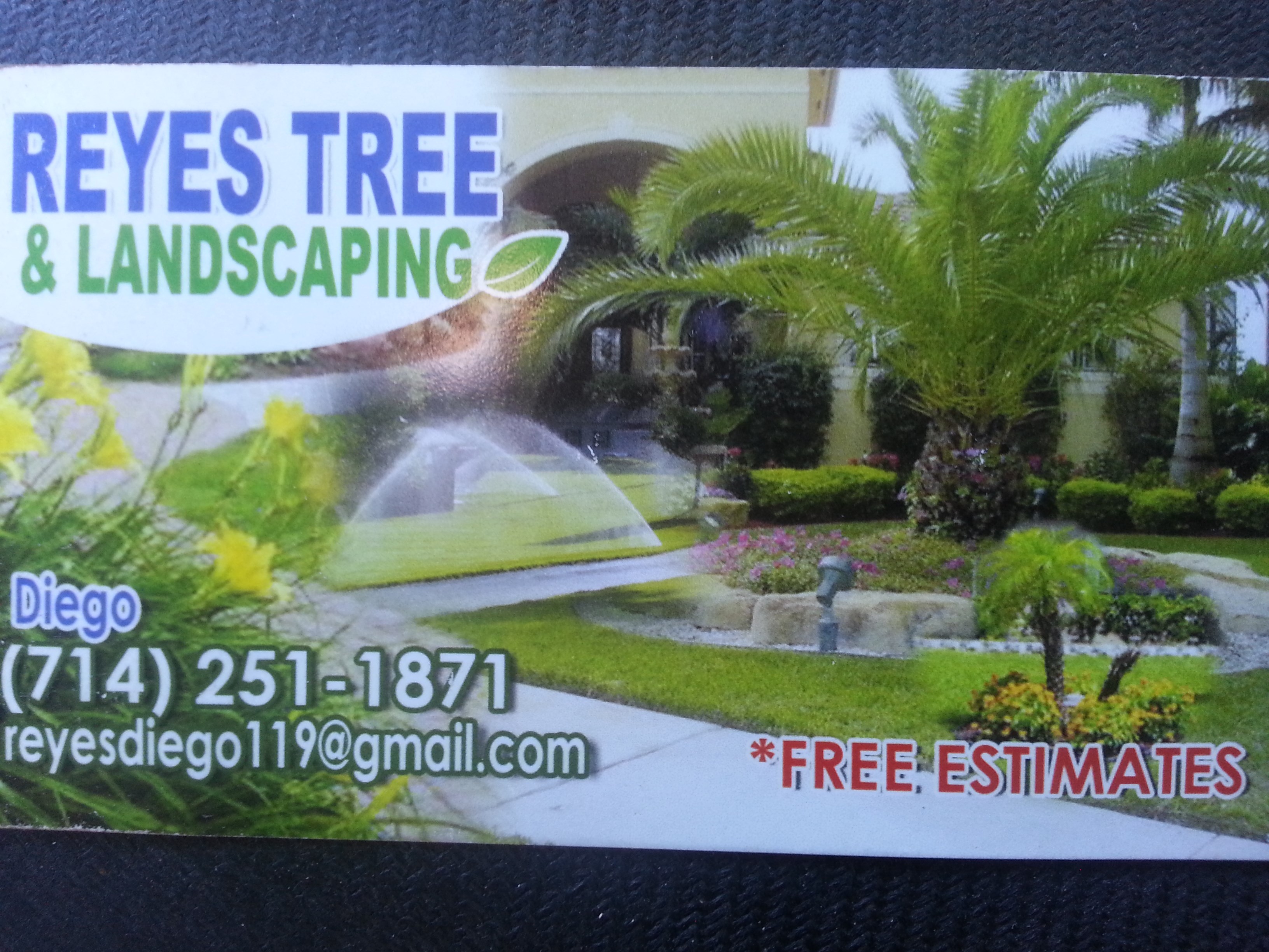 Reyes Tree & Landscaping logo