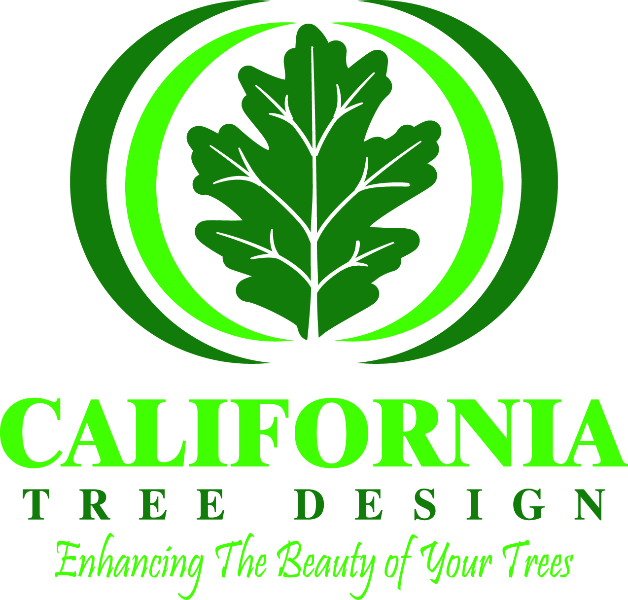 Logo for California Tree Design