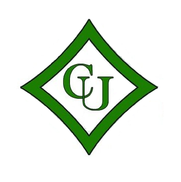 Logo for Choices unlimited