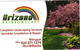 Avatar for Arizona Rainbowscape