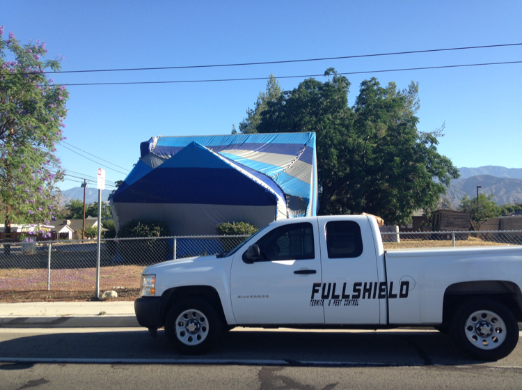 Logo for FullShield Pest Control