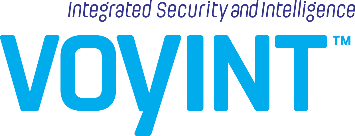 Voyint logo