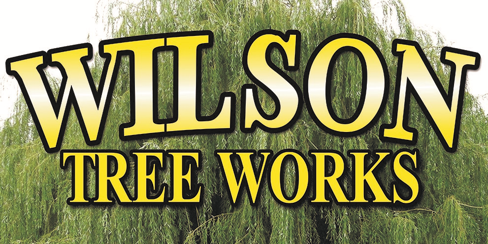 Logo for Wilson Tree Works