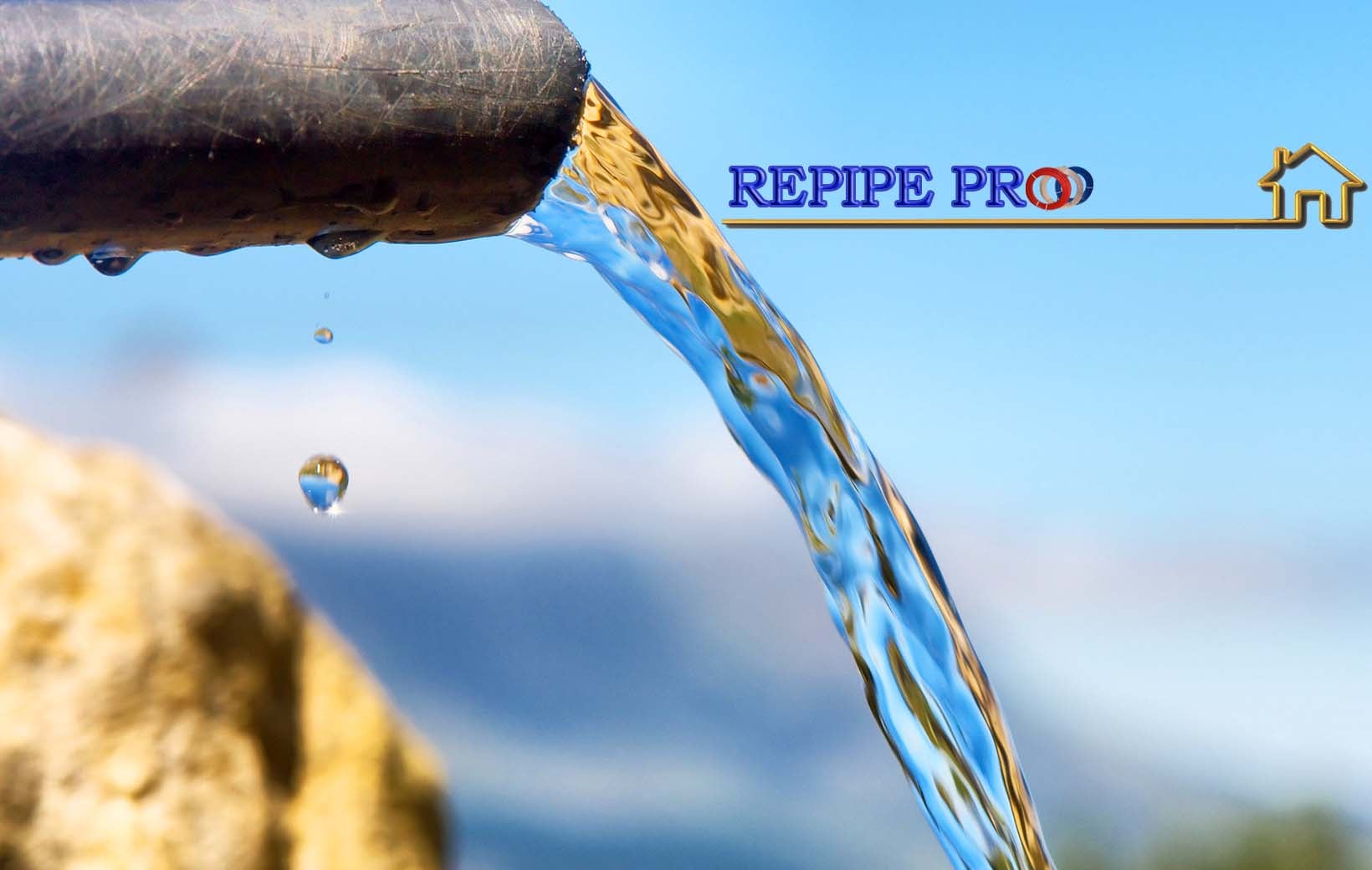 Avatar for Repipe Pro