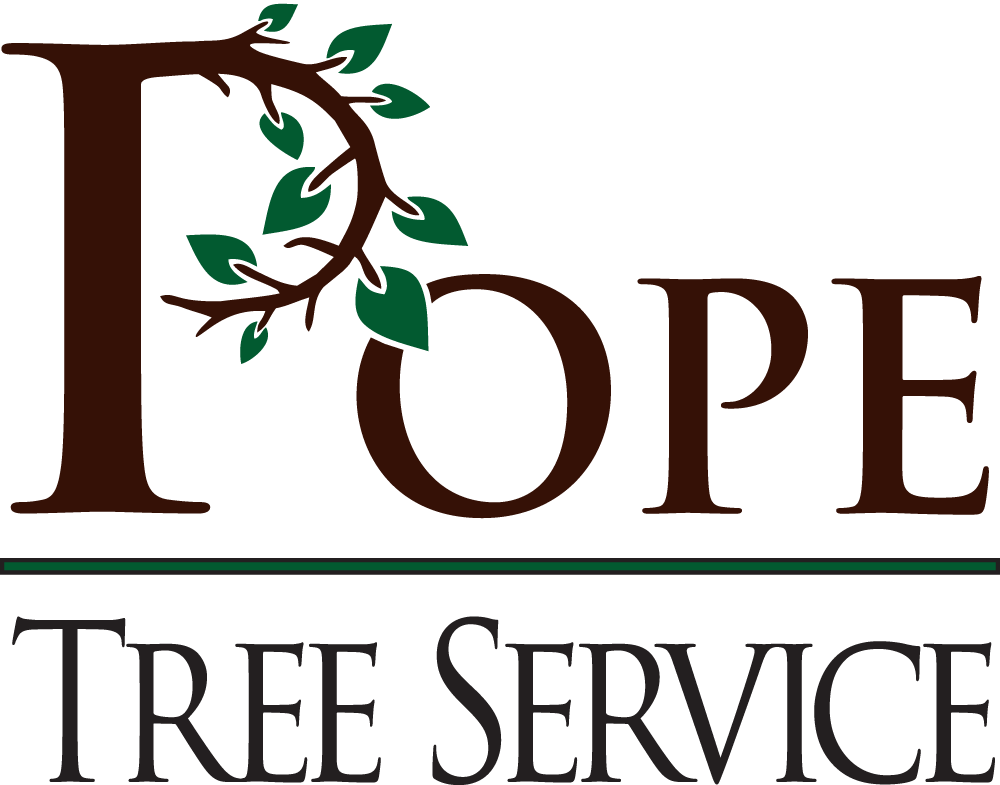 Avatar for Pope Tree Service