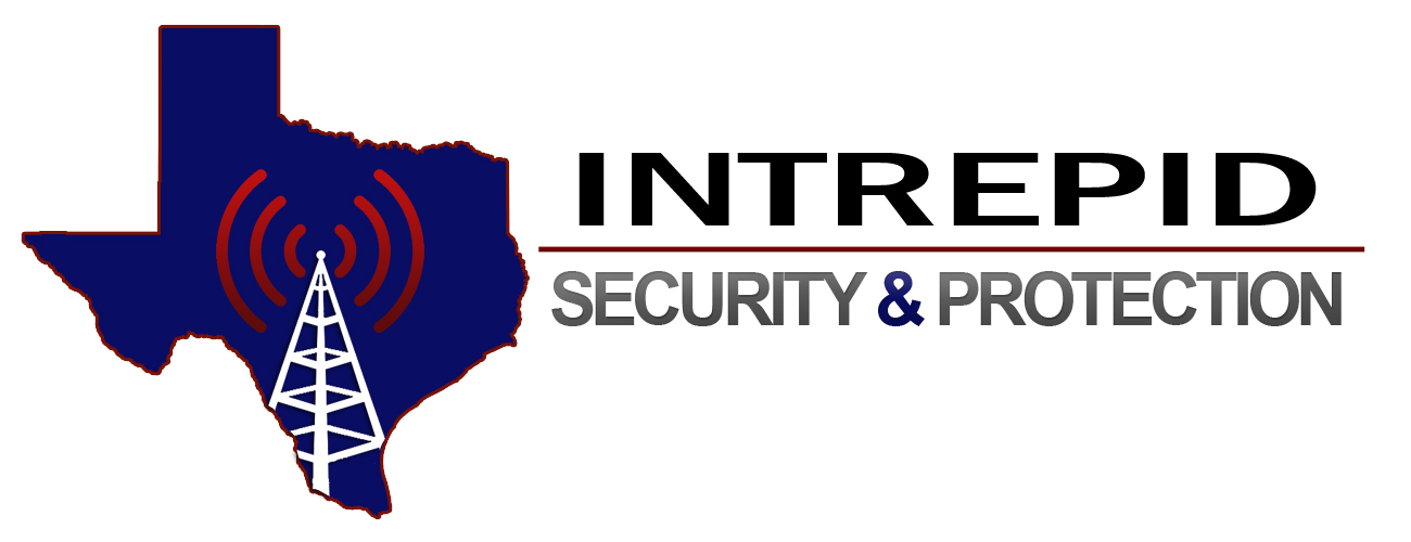 INTREPID SECURITY & PROTECTION logo