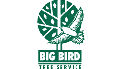 Logo for BIG BIRD TREE SERVICE