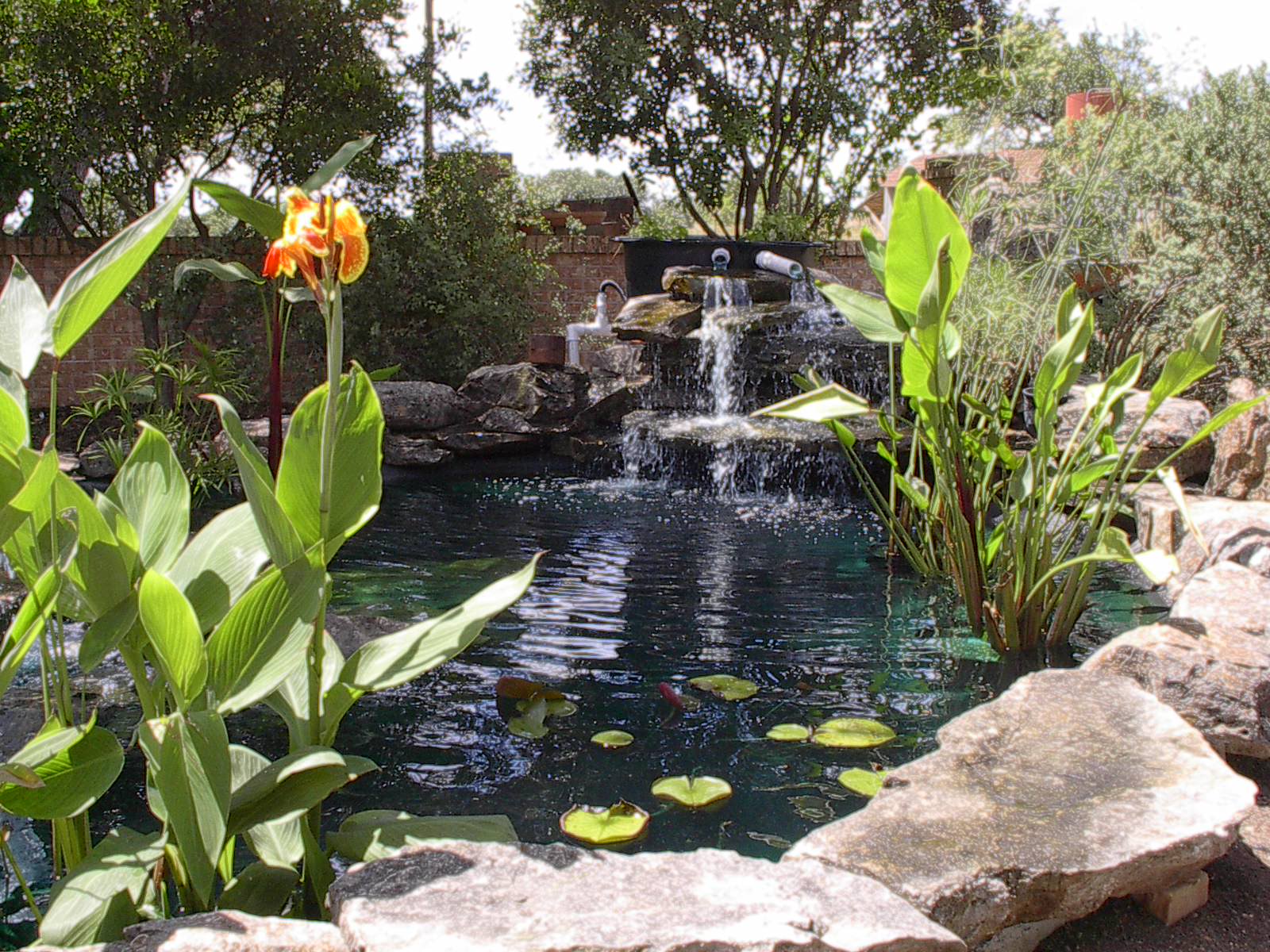 AMERICAN BUILDING SERVICES logo