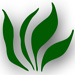 Logo for Trademark Landscape