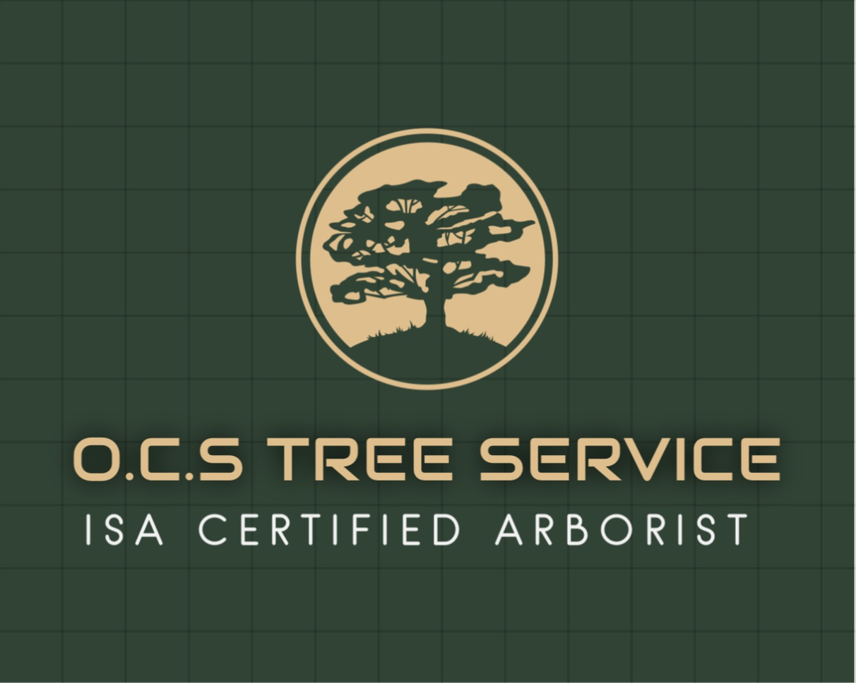 Logo for O.C.S Tree Service