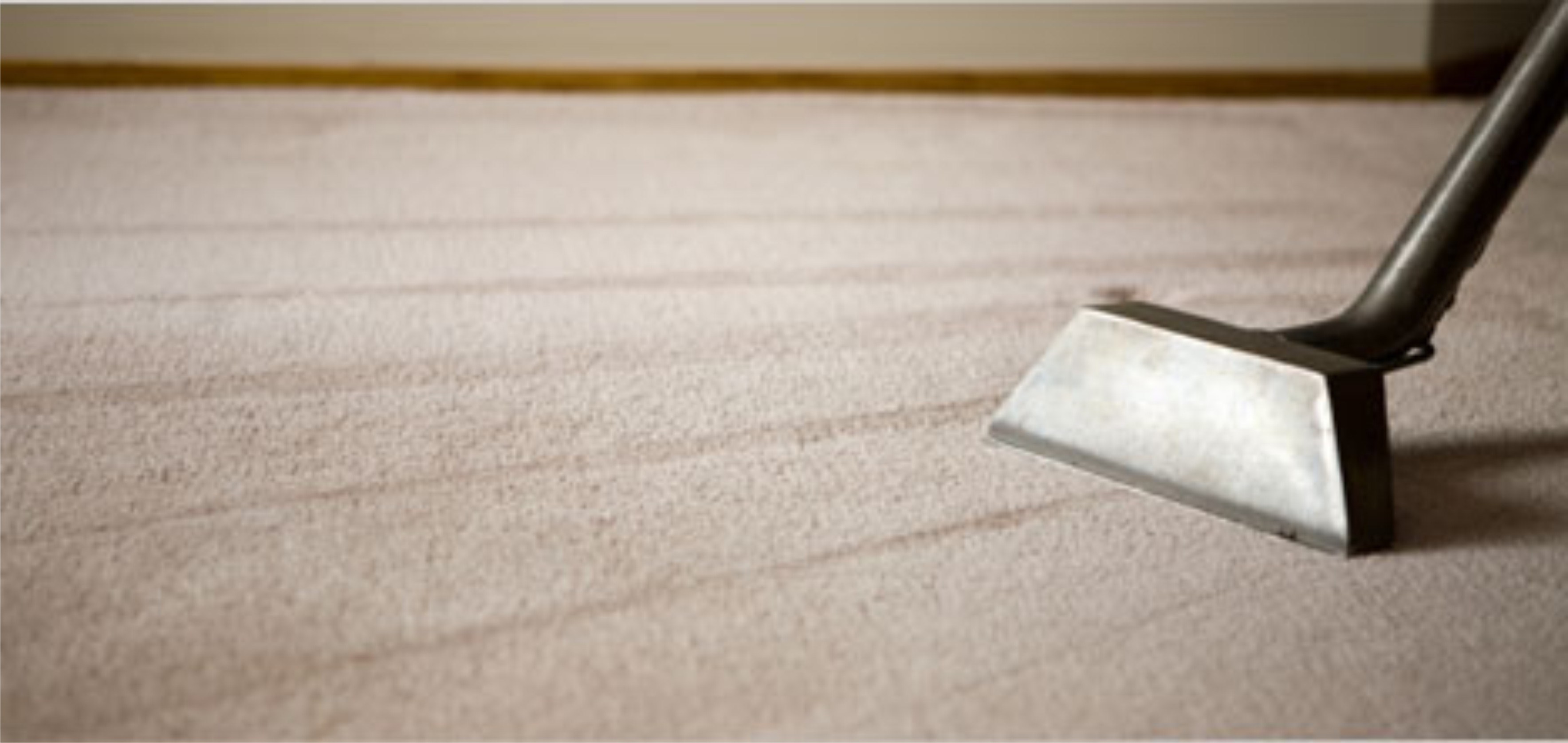 Avatar for Genesis Floor Care LLC