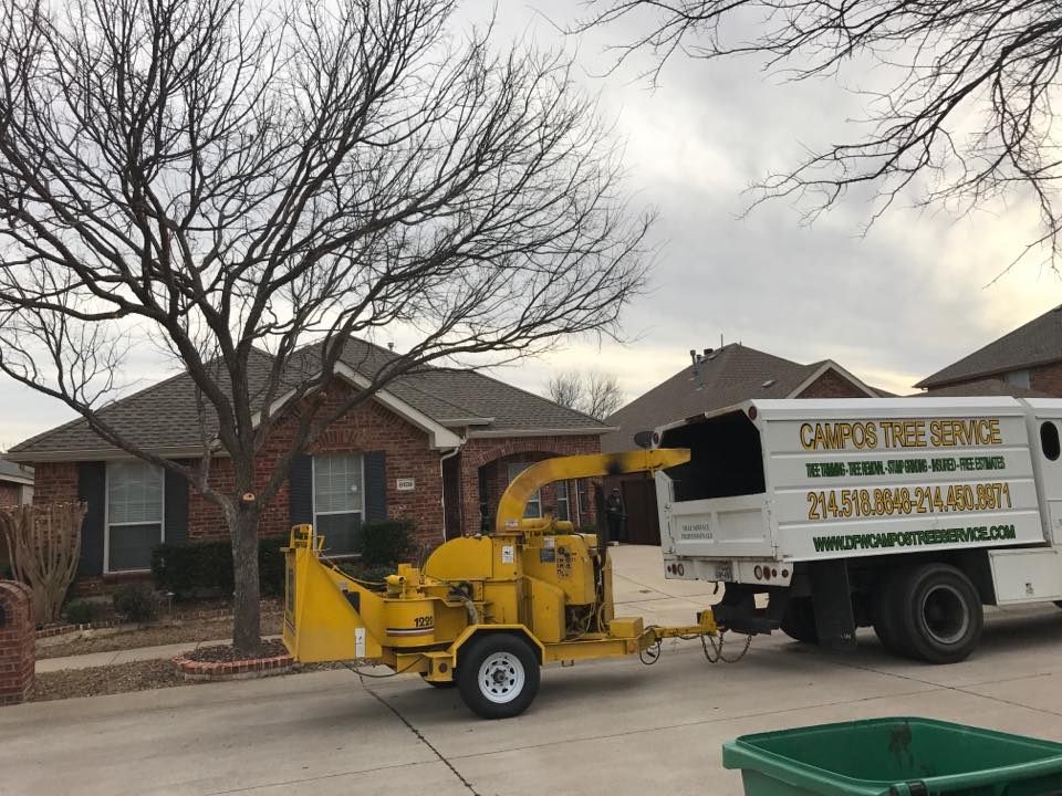 Logo for CAMPOS TREE SERVICE