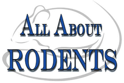 All About Rodents Inc logo