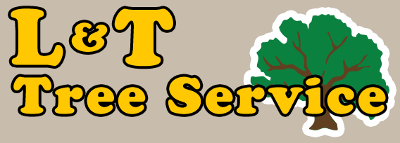 Avatar for L & T Landscaping & Tree Service