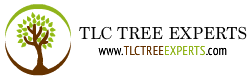 Avatar for TLC TREE EXPERTS