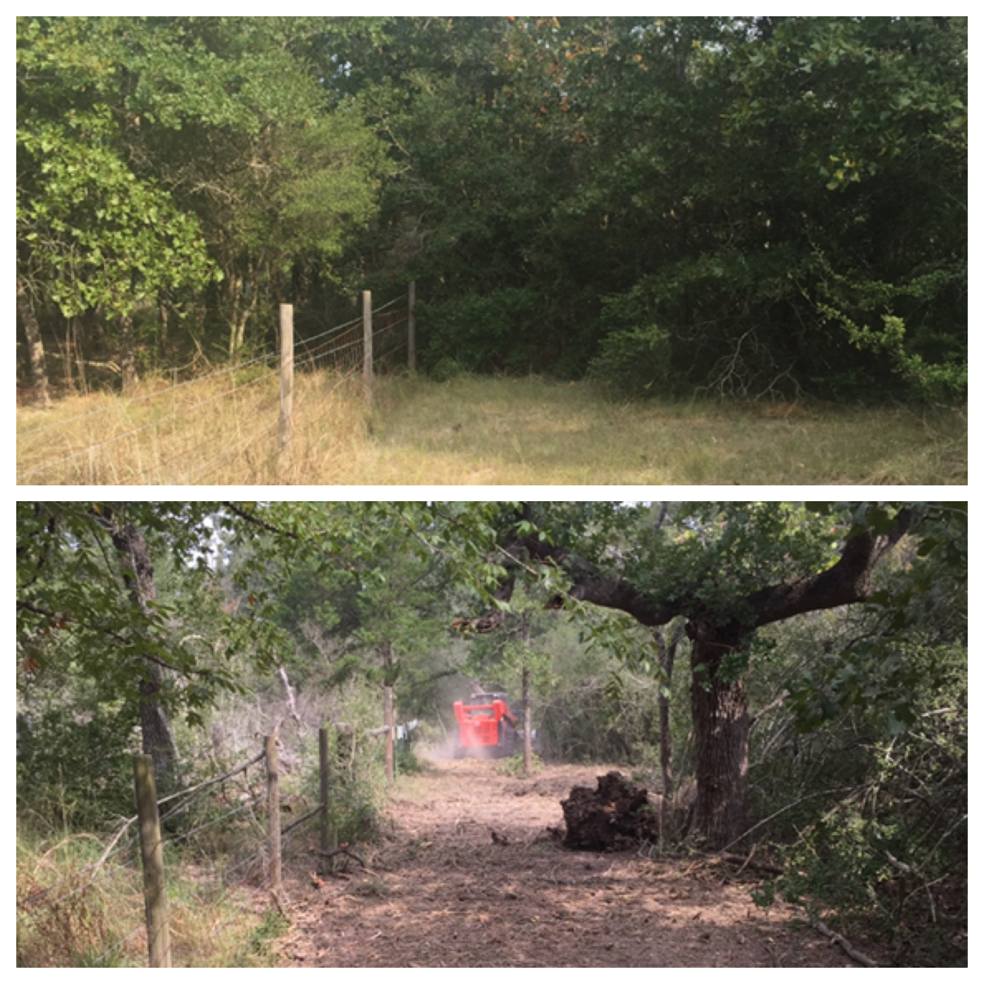 All American Outdoor Services logo