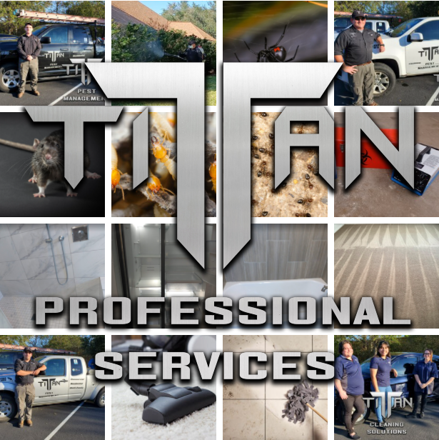 Avatar for Titan Professional Services