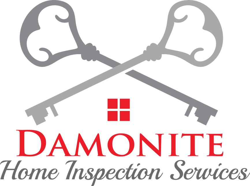 Logo for Damonite Home Inspection Services