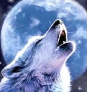 Logo for Wolf Air