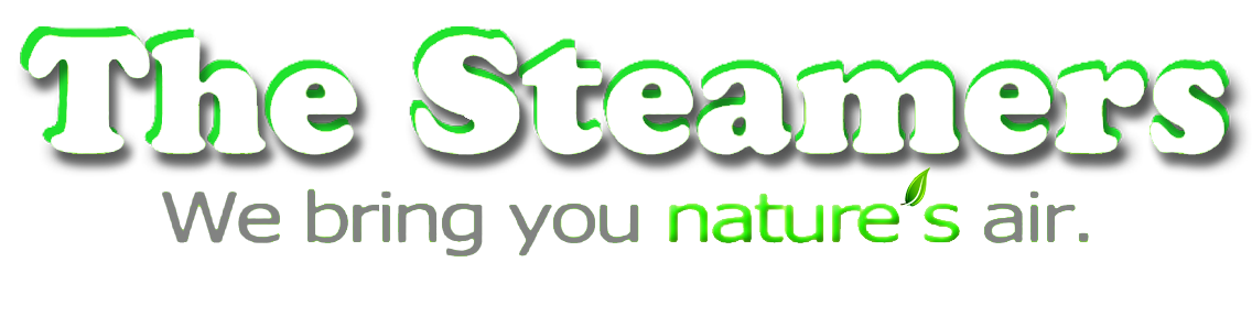 Logo for The Steamers