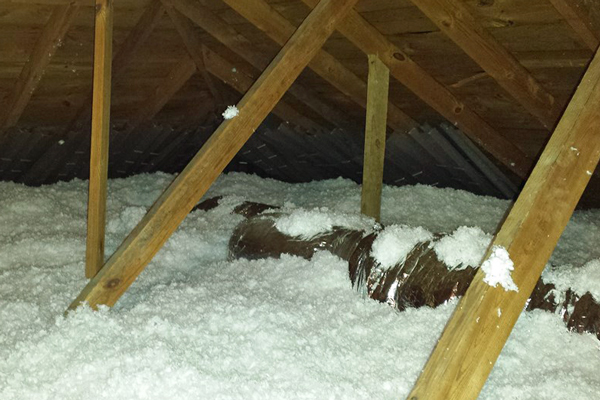 Miss Her Insulation logo