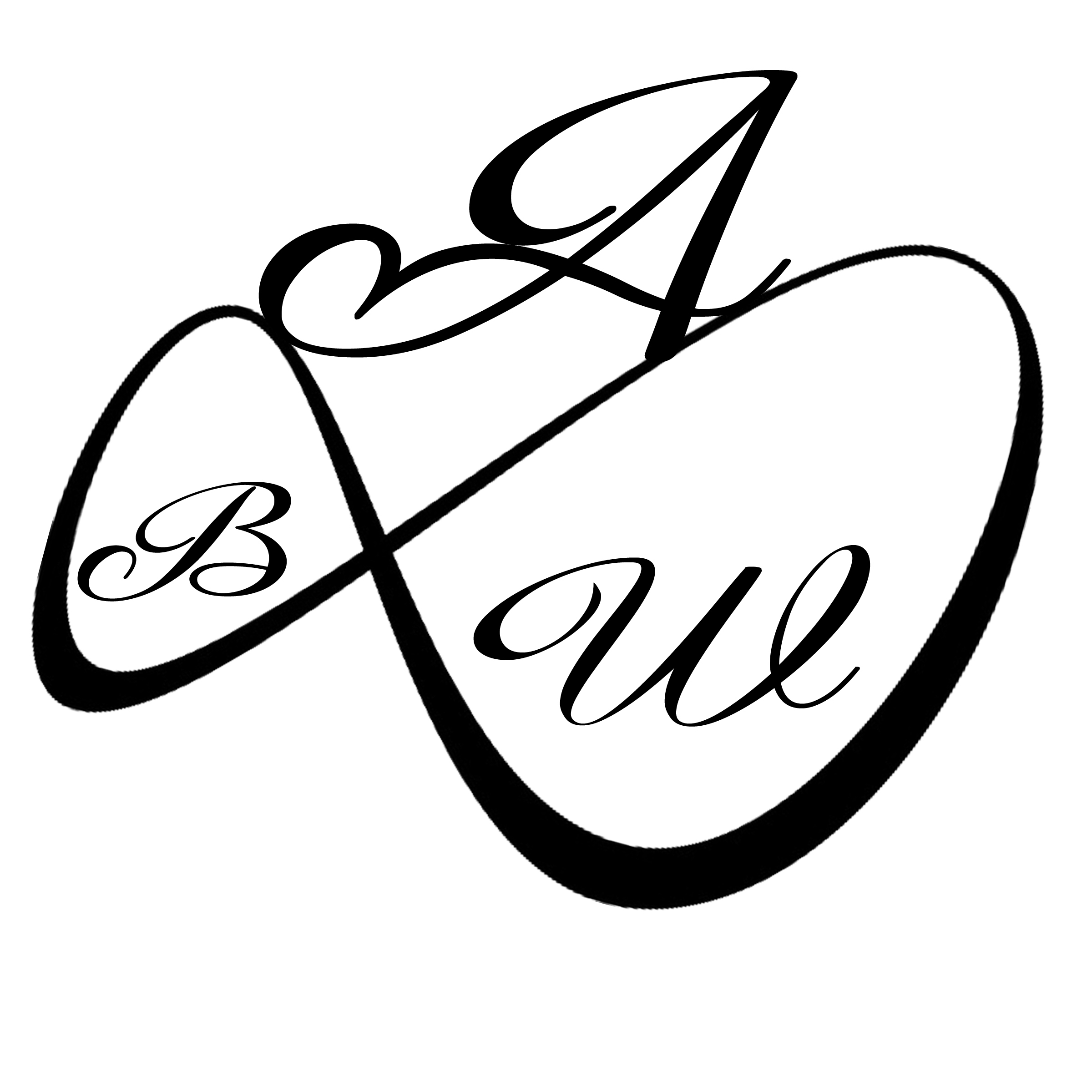 Virtuous.shine logo