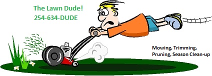 Logo for The Lawn Dude