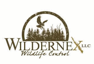 Avatar for Wildernex LLC Wildlife Control